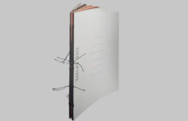 濟(jì)南畫冊(cè)設(shè)計(jì)裝幀-書脊 濟(jì)南畫冊(cè)設(shè)計(jì)裝幀-書脊