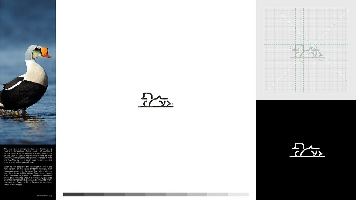 動物簡筆畫logo設(shè)計練習