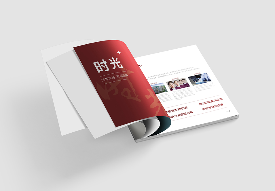 銀豐生物集團企業(yè)畫冊設計