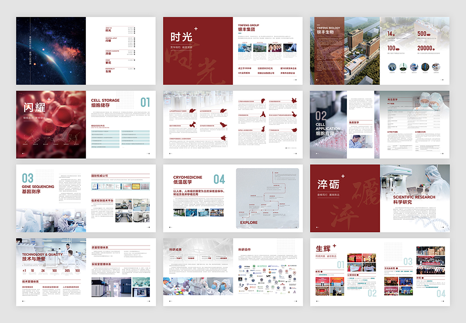 銀豐生物集團企業(yè)畫冊設計